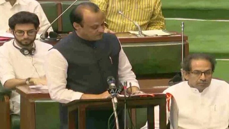 जाणून घ्या महाराष्ट्राच्या Budget मधले १२ महत्त्वाचे मुद्दे Mumbai Tak