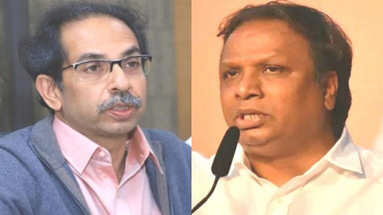 वाघ म्हणता उंदरात पण खाता? शेलारांचे ठाकरेंना सवाल, BMC च्या कारभाराचे काढले वाभाडे Mumbai Tak