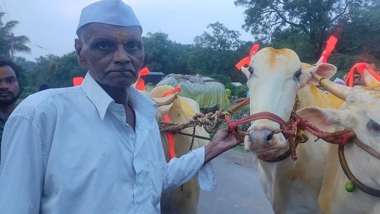 अखेरचा प्रवासही बैलगाडीच्या सोबतीनेच ! बैलगाडा मालकाची शेवटची इच्छा गावकऱ्यांनी केली पूर्ण Mumbai Tak