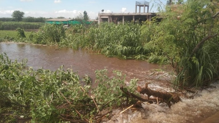 बारामती : कालव्याची पाईपलाईन फुटली, लाखो लिटर पाणी वाया Mumbai Tak