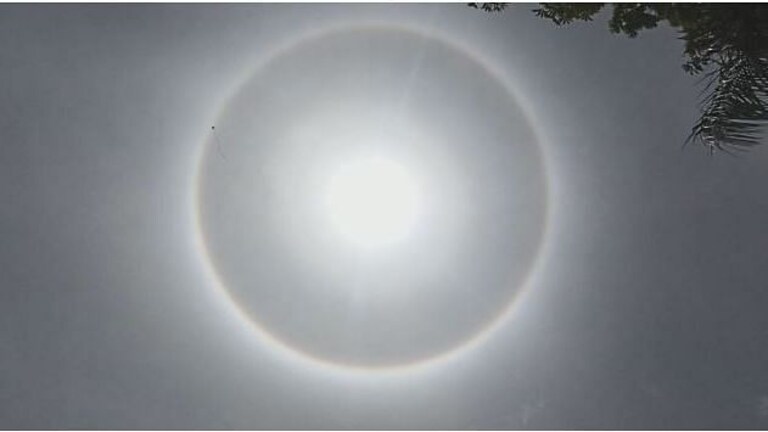 बारामती : निसर्गाची अद्भुत किमया, सूर्याभोवती निर्माण झालं सप्तरंगी तेजोवलय Mumbai Tak