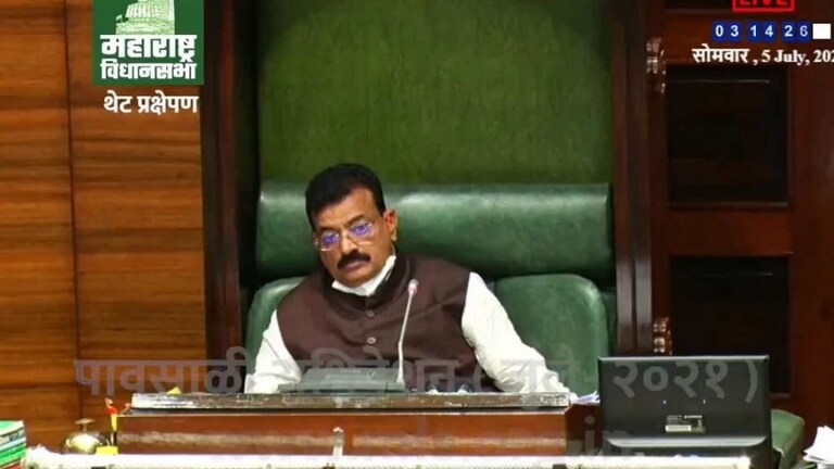 शिवसेनेने भास्कर जाधवांचा वापर करुन घेतला, आता त्यांना फारकाही मिळेल असं वाटत नाही – आशिष शेलार Mumbai Tak