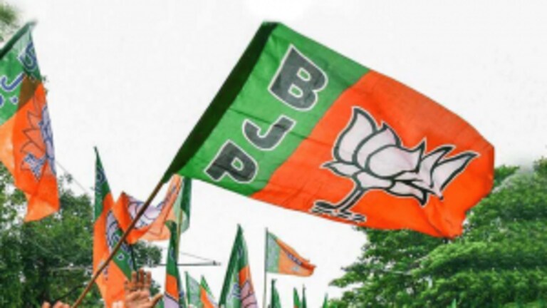 सांगली जिल्हा बँकेत भाजपला धक्का! महाविकास आघाडी पॅनलकडून भाजपला धोबीपछाड Mumbai Tak