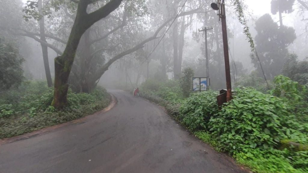 विदर्भाचं नंदनवन चिखलदरा पर्यटकांनी फुललं Mumbai Tak