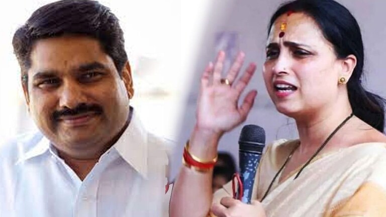 माझ्या नवऱ्याची एक भानगड काढा, मी राजकारण सोडेन; चित्रा वाघांचं खुलं आव्हान Mumbai Tak