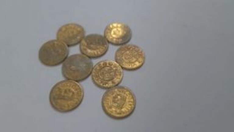 खोदकाम सुरू असताना औरंगाबादमध्ये सापडली राणी व्हिक्टोरियाचं चित्र असलेली नाणी Mumbai Tak