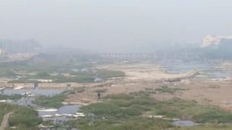 गोठवणारी थंडी! धुळ्यात तापमान 2.8 अंशांवर, राज्यातल्या अनेक शहरांमध्ये हुडहुडी कायम Mumbai Tak