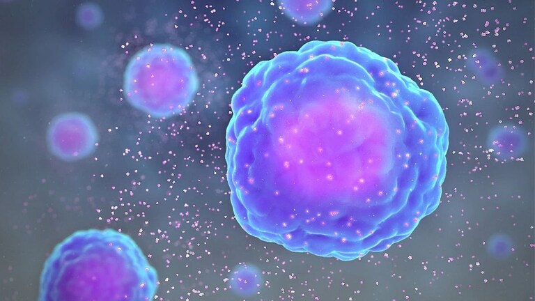 Raigad जिल्ह्यात Corona च्या डेल्टा प्लस व्हेरिएंटचा शिरकाव, एकाचा मृत्यू Mumbai Tak