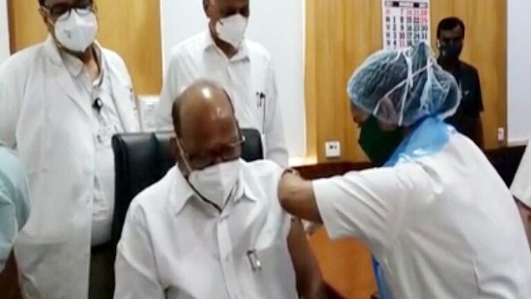 पंतप्रधान मोदींपाठोपाठ शरद पवारांनीही घेतली कोरोना प्रतिबंधक लस Mumbai Tak