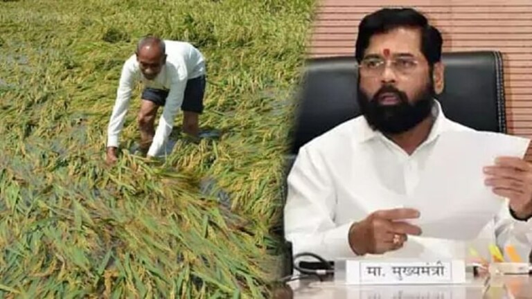 अतिवृष्टीमुळे झालेल्या पीक नुकसान भरपाईचा आदेश निघाला! शेतकऱ्यांना हेक्टरी किती पैसे मिळणार? Mumbai Tak