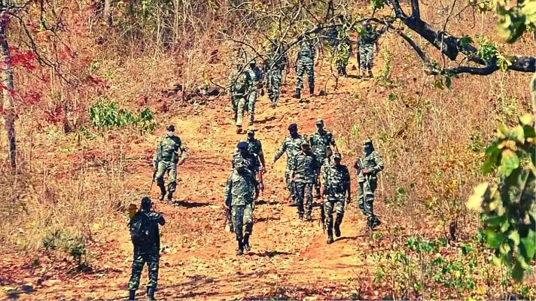 मोठी बातमी… तब्बल 13 नक्षलवाद्यांना कंठस्नान, C-60 फोर्सची मोठी कारवाई Mumbai Tak