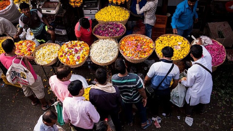 दादर फूल मार्केट व्यावसायिकांना कोर्टाचा दिलासा, पुढील सुनावणीपर्यंत कारवाई न करण्याचे निर्देश Mumbai Tak