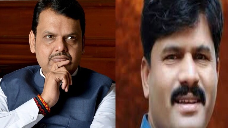 फडणवीसांचे लाडके असलेले गोपीचंद पडळकर सतत वादात का असतात? Mumbai Tak