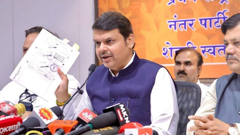 नवाब मलिकांनी मुंबई बॉम्बस्फोटातल्या आरोपींकडून कवडीमोलाने जागा का विकत घेतली?-फडणवीस Mumbai Tak