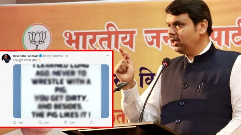 मलिकांच्या इशाऱ्यांनंतर फडणवीसांच्या ट्विटची चर्चा; म्हणाले, डुकराशी कुस्ती… Mumbai Tak