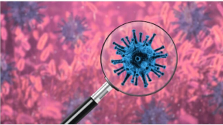 Omicron Variant : RT-PCR टेस्टमध्ये कोरोनाच्या ओमिक्रॉन व्हेरिएंटचं निदान होणार की नाही? समजून घ्या Mumbai Tak