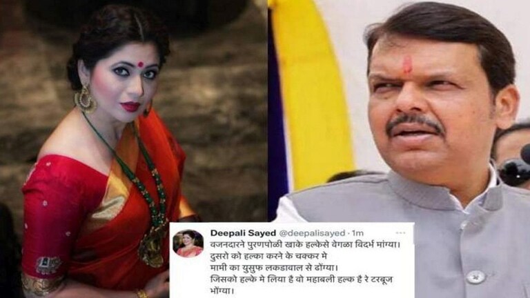 राजकारणात शाब्दिक द्वंद्वाची पातळी खालावली?दीपाली सय्यद यांची फडणवीसांवर आक्षेपार्ह टीका Mumbai Tak