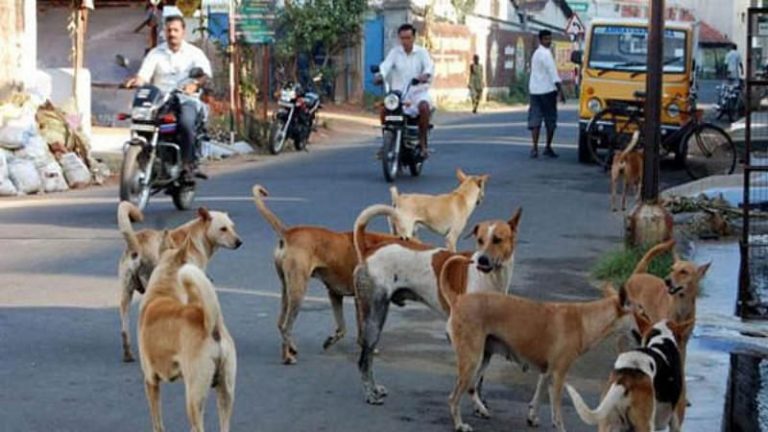 Mumbai Tak