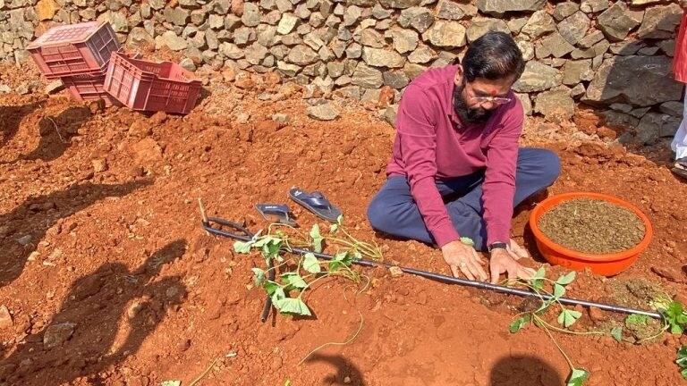 मुख्यमंत्री एकनाथ शिंदे यांनी सातारा दौऱ्यातल्या दरे गावात केली शेताची मशागत Mumbai Tak