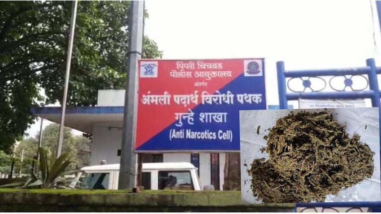 गांजा तस्करी करणाऱ्या भावाला सोडवण्यासाठी पोलिसांच्या अंगावर सोडला कुत्रा; 2 पोलीस जखमी Mumbai Tak