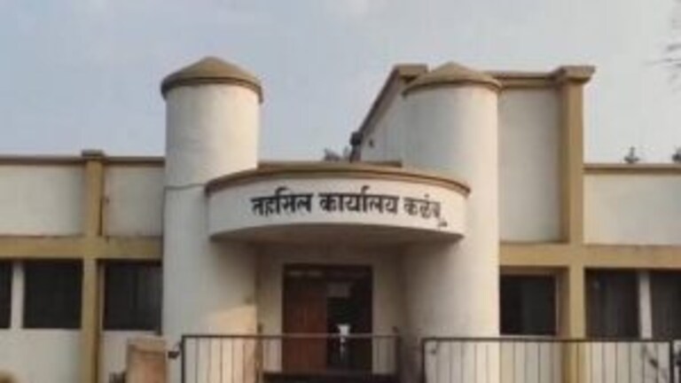 तलाठीच्या नजरचुकीने जिवंत वृद्धेची मयत नोंद; नंतर आलं वेगळंच सत्य समोर Mumbai Tak