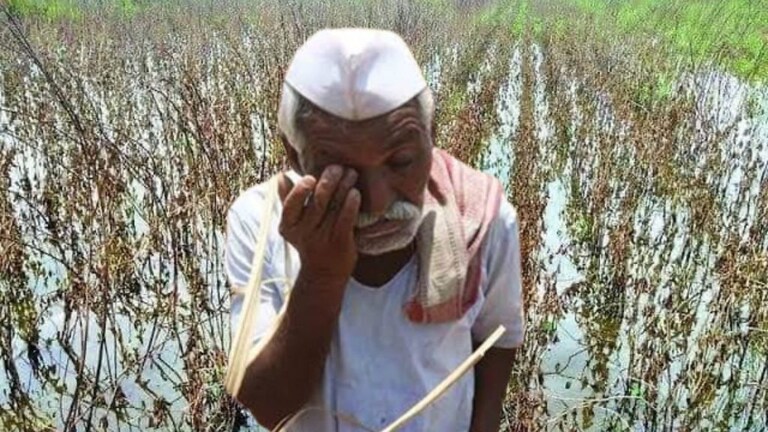 नांदेड जिल्ह्यात दहा महिन्यात 119 शेतकऱ्यांची आत्महत्या; दिवाळीच्या तोंडावर बळीराजा संकटात Mumbai Tak