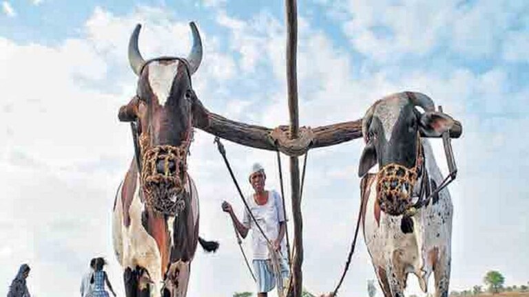 भू विकास बँकेचं कर्ज घेतलेल्या शेतकऱ्यांना संपूर्ण कर्जमाफी, शिंदे फडणवीस सरकारचा मोठा निर्णय Mumbai Tak