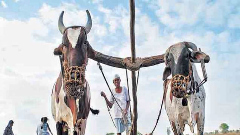 भू विकास बँकेचं कर्ज घेतलेल्या शेतकऱ्यांना संपूर्ण कर्जमाफी, शिंदे फडणवीस सरकारचा मोठा निर्णय Mumbai Tak