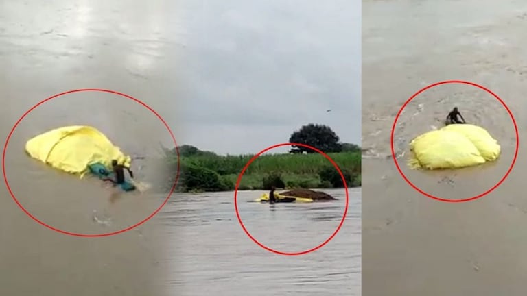 अंगावर काटा आणणारं हिंगोलीतील दृश्य : सोयाबीन वाचवण्यासाठी शेतकऱ्याचा नदीच्या पुरात संघर्ष Mumbai Tak