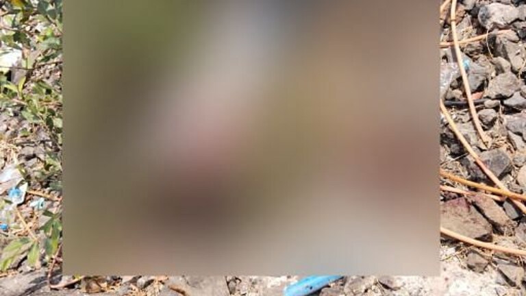 माळशेज घाटात बस थांबली, कंडक्टर खाली उतरला अन् थेट दरीत उडी मारली; आत्महत्येचं कारण काय? Mumbai Tak