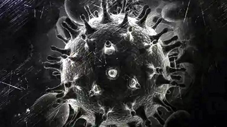 महाराष्ट्रात Mucormycosis चं संकट गहिरं, आत्तापर्यंत 4 हजारांपेक्षा जास्त रूग्ण Mumbai Tak