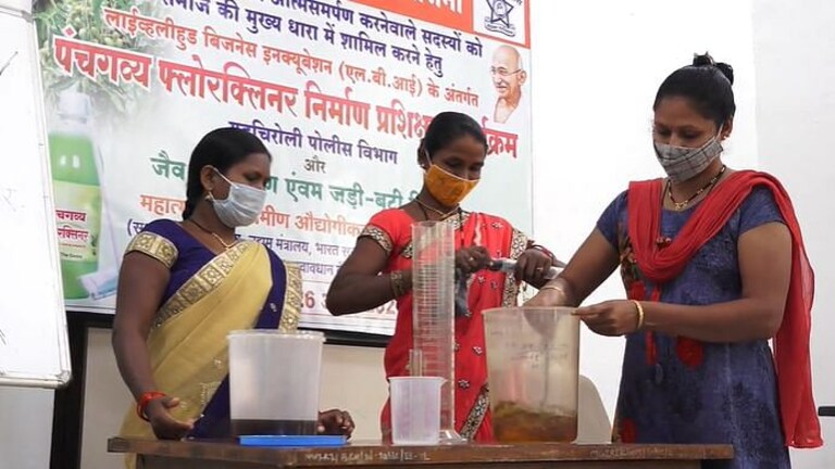 गडचिरोली: पोलीस आणि नक्षलवाद्यांमध्ये तुफान चकमक, काय घडतंय नेमकं? Mumbai Tak