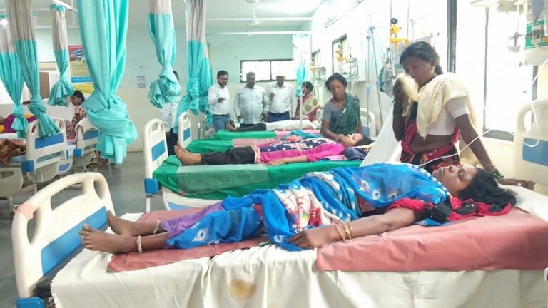 गडचिरोलीत अस्वलांच्या कळपाचा मजूर महिलांवर हल्ला, ४ महिला गंभीर जखमी Mumbai Tak