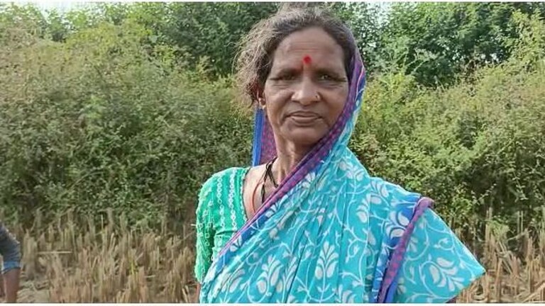 गडचिरोली : ७० वर्षाच्या आजीबाईंची वाघाशी झुंज, जिद्दीने सामना करुन वाघाला लावलं पळवून Mumbai Tak