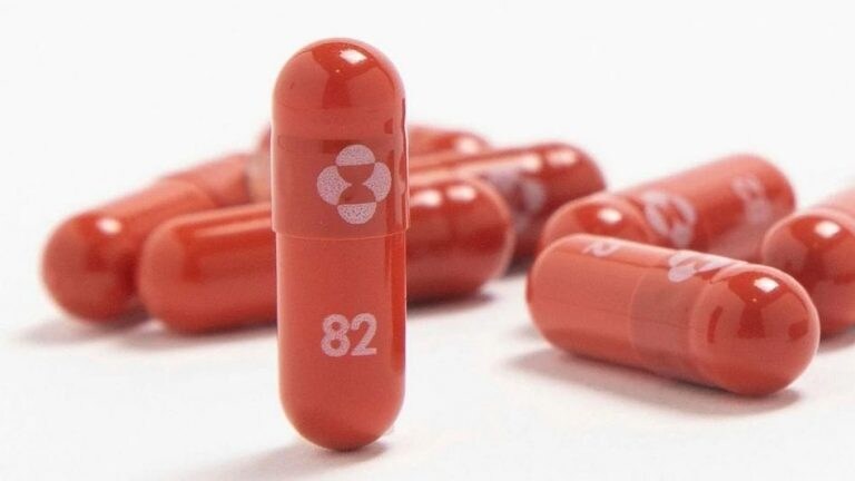 Molnupiravir Corona Medicine: 35 रुपयांची कॅप्सूल, 5 दिवसांचा कोर्स; कोरोना बरा करण्याऱ्या गोळीबद्दल सगळी माहिती Mumbai Tak
