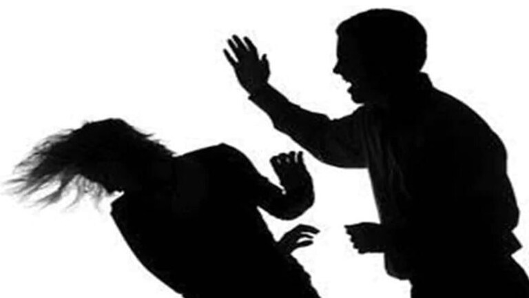 पत्नीला पुरुषाने मालमत्ता किंवा मालकीची वस्तू समजू नये – हायकोर्ट Mumbai Tak