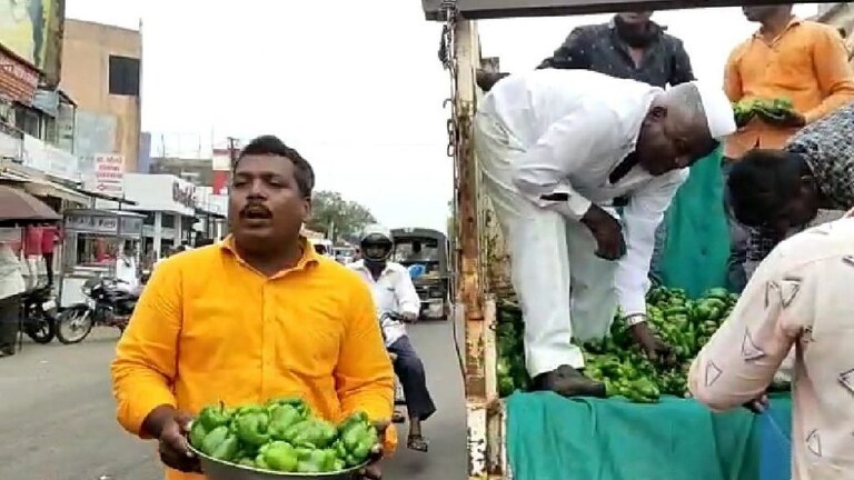 भोपळी मिरचीला कवडीमोल भाव, इंदापुरात माल रस्त्यावर फेकत शेतकऱ्याने केला निषेध Mumbai Tak