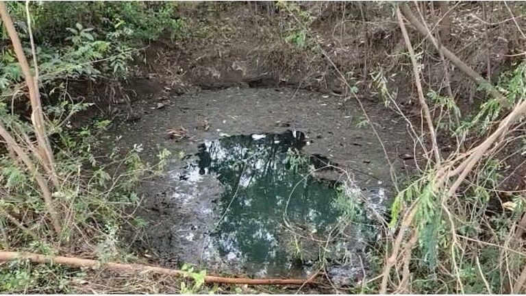 चार लेकरांसह आईची विहीरीत उडी मारत आत्महत्या, जालन्यातली धक्कादायक घटना Mumbai Tak