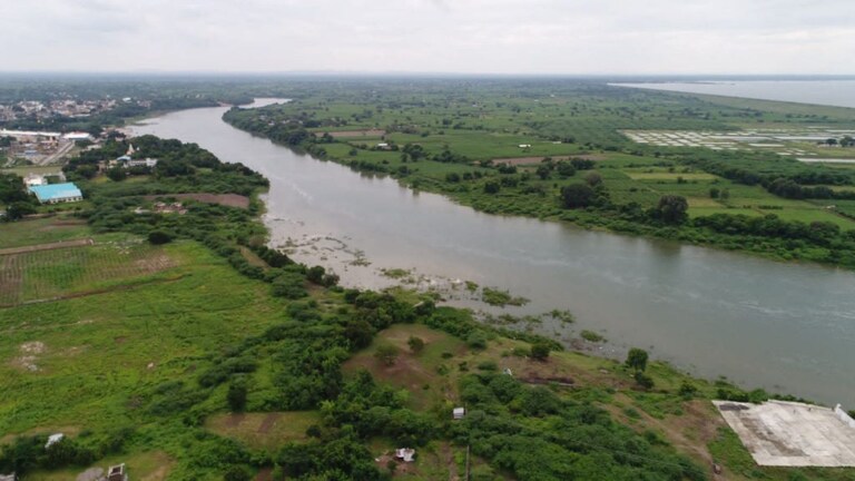 मराठवाड्याची तहान भागवणाऱ्या जायकवाडी धरणाची नजर खिळवून ठेवणारी दृश्ये Mumbai Tak