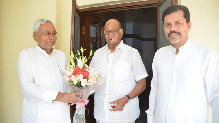 JD(U)MLAs : 2024 च्या तयारीला लागलेल्या नितीश कुमारांना भाजपने दिला आणखी एक झटका! Mumbai Tak