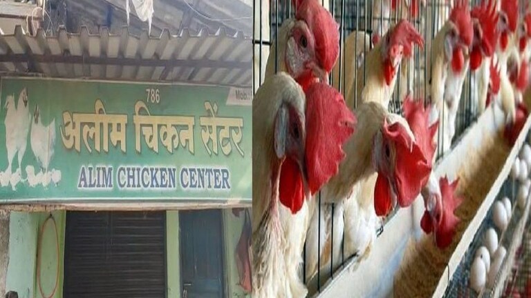 कोंबड्या फक्त भाईच्या दुकानातून घ्यायच्या ! कल्याणमध्ये अज्ञात व्यक्तींची चिकन सेंटर मालकाला मारहाण Mumbai Tak