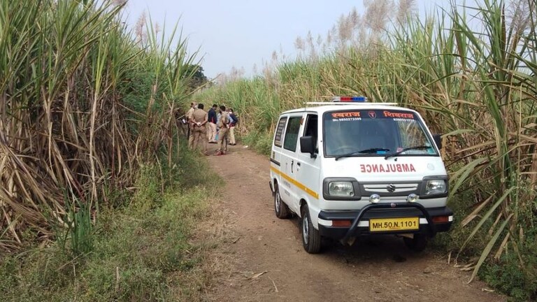 डोक्यात दगड घालून तरूणीची हत्या, कराड तालुक्यातली धक्कादायक घटना Mumbai Tak