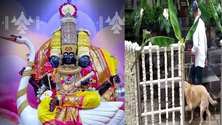 कोल्हापूर : अंबाबाई मंदिरात बॉम्ब ठेवल्याचा निनावी फोन, खबरदारीमुळे भाविकांचं दर्शन काहीकाळ थांबवलं Mumbai Tak