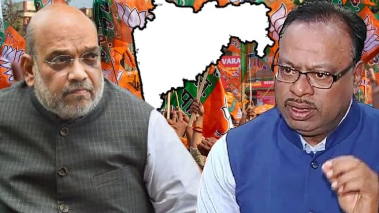 लोकसभेप्रमाणेच भाजपची विधानसभा निवडणुकीसाठी खास रणनीती! समोर आला प्लान Mumbai Tak