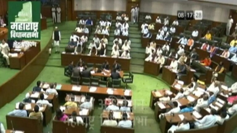 maharashtra assembly session live :
सरकारला टोले लगावत अजित पवारांचं विधानसभेत भाषण Mumbai Tak