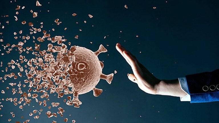 रुग्णसंख्येचा आलेख घसरला! महाराष्ट्रात दिवसभरात आढळले १,९६६ रुग्ण Mumbai Tak