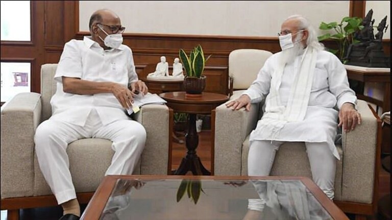 ईडी, सीबीआय आणि आमिष देऊन सरकारं पाडणं हेच सूत्र; मोदी सरकारबद्दल शरद पवार काय म्हणाले? Mumbai Tak