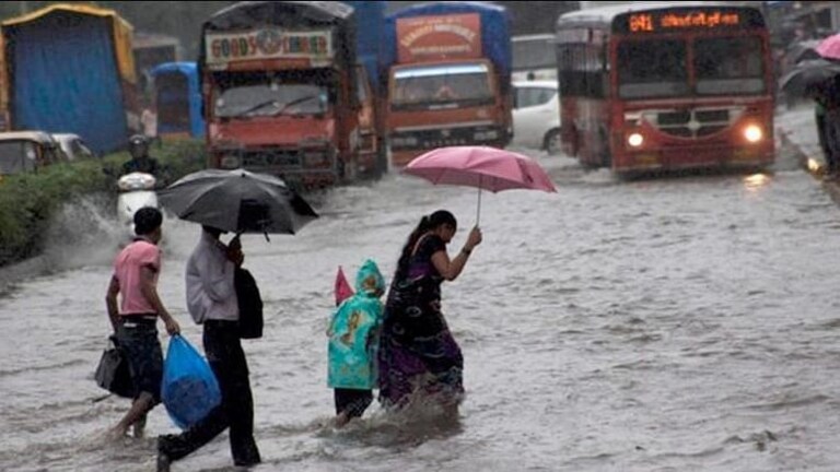 Rain Alert : मुंबई-पुण्यासह राज्यात आज-उद्या अतिमुसळधार पावसाचा इशारा Mumbai Tak