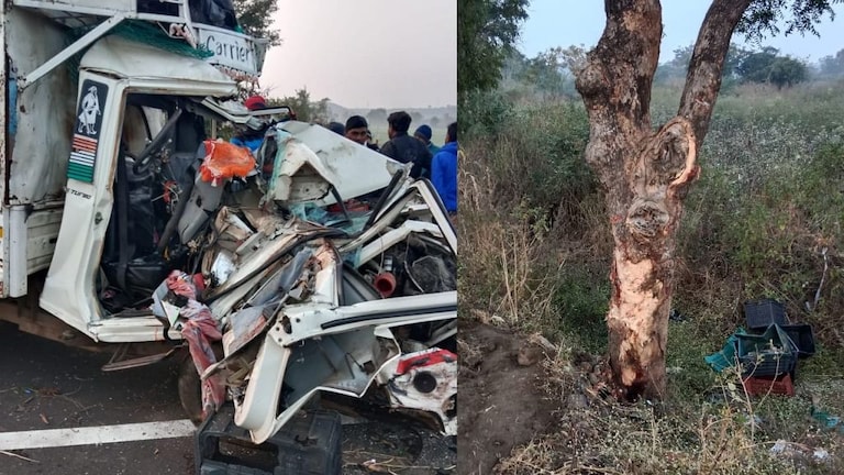 नागपूर : …अन् भरधाव बोलेरो झाडावर जाऊन आदळली; चार मजूर महिलांवर काळाची झडप Mumbai Tak