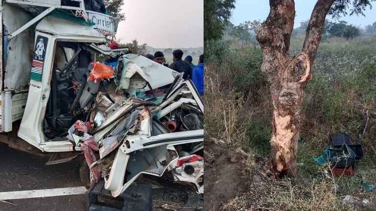 नागपूर : …अन् भरधाव बोलेरो झाडावर जाऊन आदळली; चार मजूर महिलांवर काळाची झडप Mumbai Tak